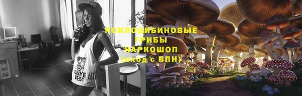 гидра Бронницы