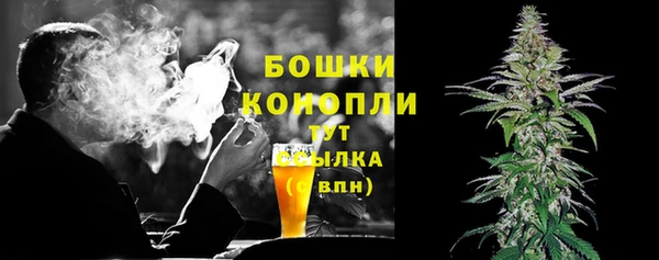 гидра Бронницы
