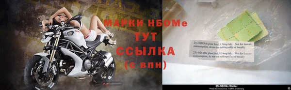 гидра Бронницы