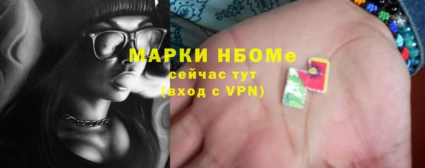 гашик Бородино
