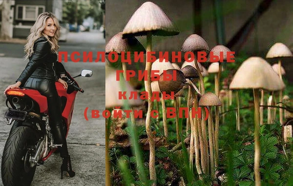 гидра Бронницы