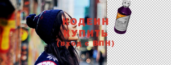гашик Бородино