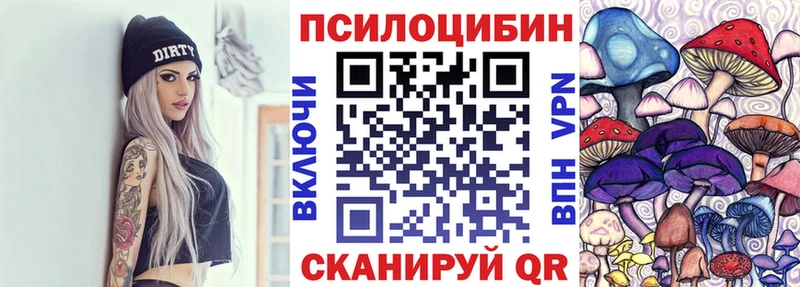 Псилоцибиновые грибы Cubensis  купить закладку  Кизляр 