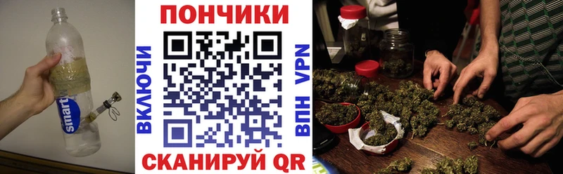 как найти закладки  Кизляр  Бошки Шишки SATIVA & INDICA 